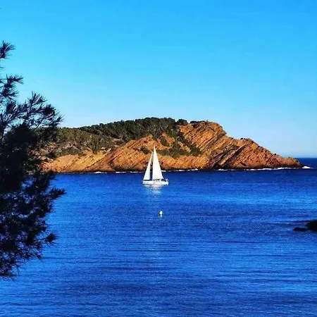 Grand T2 53m2, Proche Plages Et Port , Parking . Lägenhet